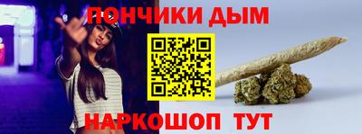 индика Партизанск