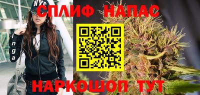 индика Партизанск