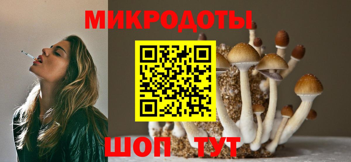 Галлюциногенные грибы Psilocybe Подольск