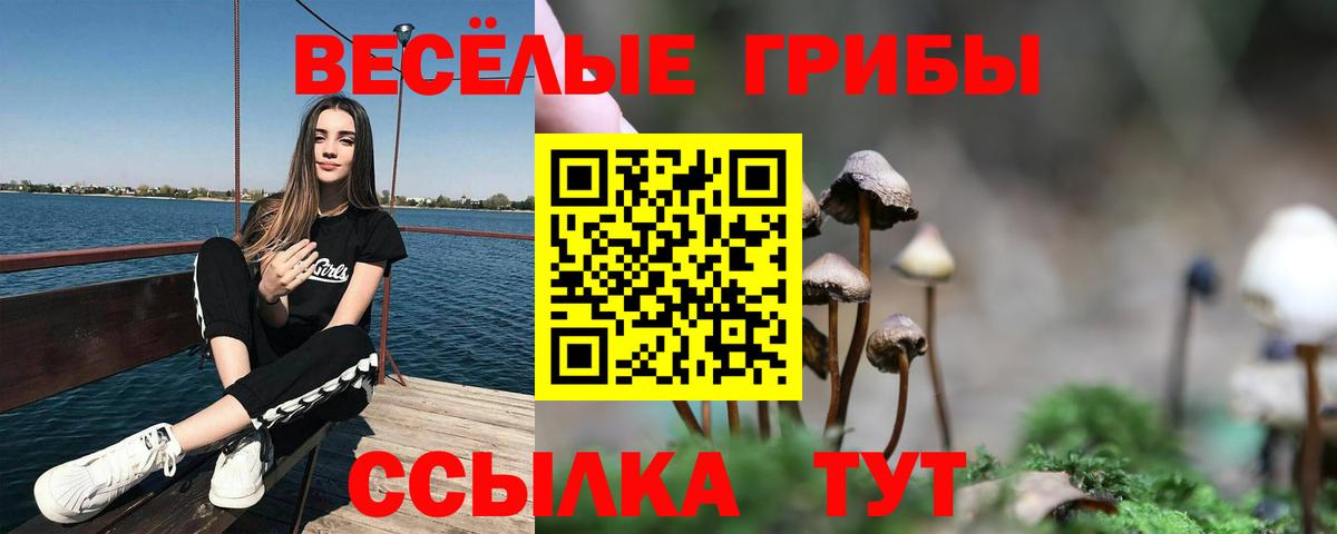 Галлюциногенные грибы мухоморы  где можно купить наркотик  Подольск  Галлюциногенные грибы ЛСД  Вход с VPN 